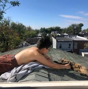 Meet your Posher, Leo